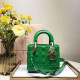 DIOR 디올 레이디백 20CM D38609-11