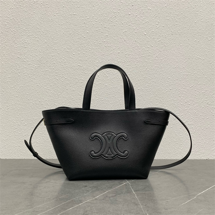 CELINE 셀린느 아나이스 카바스 스몰 토트백 118613 3COLOR